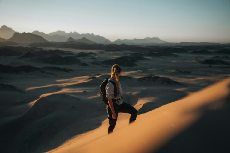 neom-x4vxK4VGKX0-unsplash